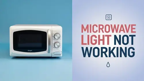 Panasonic-microwave-oven-light-not-working-problem-repairing-in-delhi